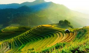 Trek à Mu Cang Chai