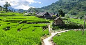 Trekking village ethnique Sapa