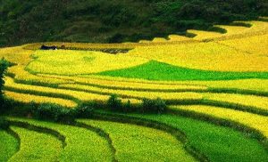 Visite Ha Giang