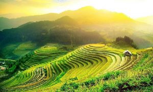 Découverte Ha Giang