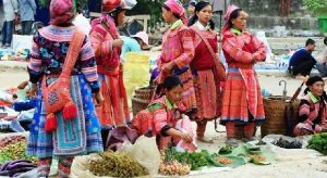 Voyage Ha Giang