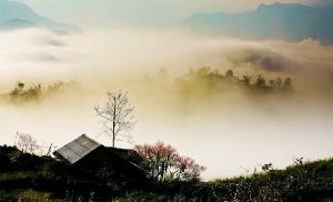 Visite Y Ty, Sapa