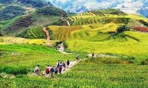 Voyage Sapa