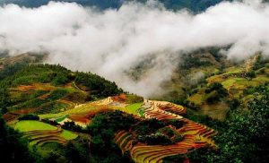 Muong Hoa, Sapa