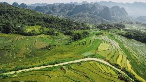 Séjour à la réserve de Pu Luong