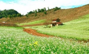 Visite Nord Vietnam