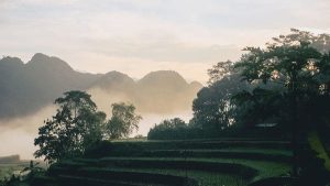 Séjour à la réserve de Pu Luong