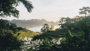 Réserve de Pu Luong à Thanh Hoa