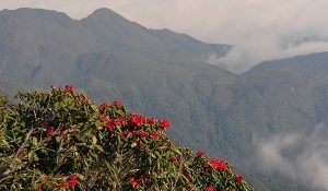 Parc national Hoang Lien Sapa Lao Cai