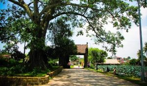 Visite village de Duong Lam à Hanoi