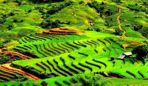Visite vallée Muong Hoa Sapa