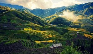 Voyage Sapa et ses incontournables