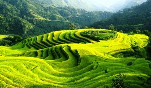 Voyage hoag Su Phi Ha Giang