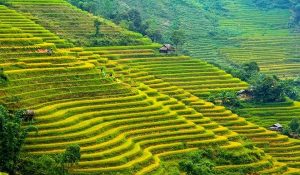 Circuit à Ha Giang