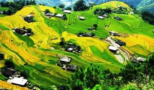 Visite Hoang Su Phi à Ha Giang