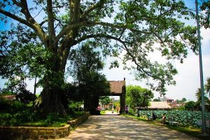 Visite de l'ancien village de Duong Lam à Hanoi