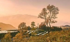 Province de Lao Cai