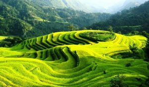 Visite Hoang Su Phi Ha Giang