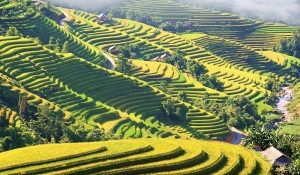 Voyage Hoang Su Phi à Ha Giang