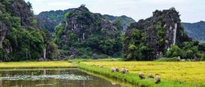balade en bicyclette à Ninh Binh