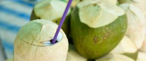 Noix de coco