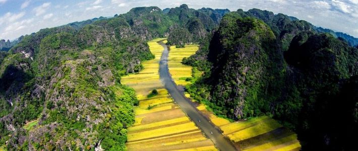 Visite Ninh Binh en saison de récolte