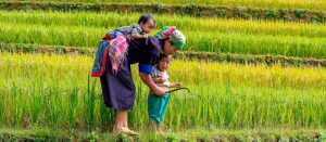 Voyage au Vietnam