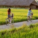 Explorer la campagne rustique de Hanoi avec Guide francophone à Hanoi