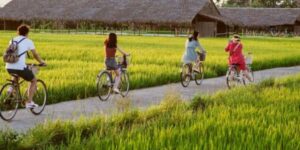 Explorer la campagne rustique de Hanoi avec Guide francophone à Hanoi