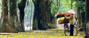 Voyage à Hanoi en automne
