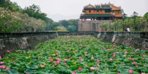 Voyager avec un Guide francophone au Vietnam pour visiter Hue