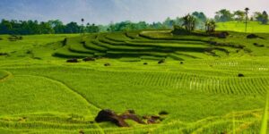 Exploration d’autres destinations incontournables au Vietnam