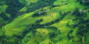 Guide francophone au Vietnam Découvrir Bac Ha