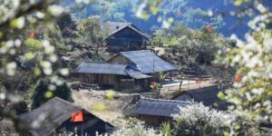 Guide francophone au Vietnam Découvrir Moc Chau