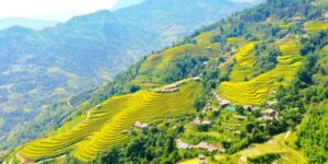 Guide francophone au Vietnam Visiter Hoang Su Phi