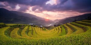 Guide francophone au Vietnam Visiter Mu Cang Chai