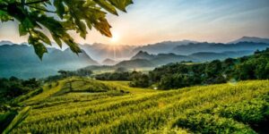 Réserve naturelle de Pu Luong