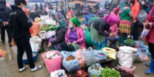 Voyager avec Guide francophone au Vietnam Découvrir Bac Ha