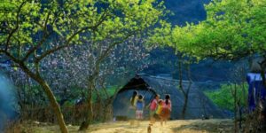 Voyager avec Guide francophone au Vietnam Découvrir Moc Chau