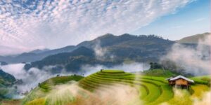 Voyager avec Guide francophone au Vietnam Découvrir Nghia Lo