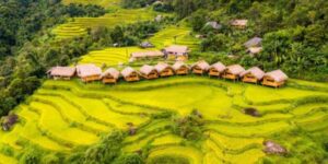 Voyager avec Guide francophone au Vietnam Visiter Hoang Su Phi