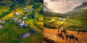 Voyager avec Guide francophone au Vietnam pour découvrir Y Linh Ho