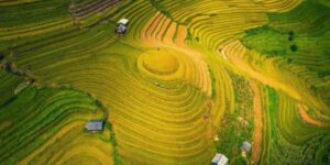 Voyager avec Guide francophone au Vietnam pour visiter Mu Cang Chai