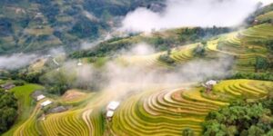 Guide francophone au Vietnam Découvrir Nam Hong Ha Giang