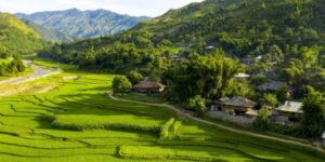 Guide francophone au Vietnam Découvrir Tu Le Yen Bai