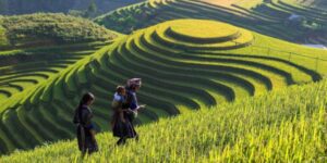 Guide francophone au Vietnam pour découvrir Lao Chai Sapa