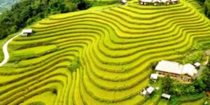 Guide francophone au Vietnam pour découvrir Nam Hong Ha Giang