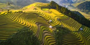 Guide francophone au Vietnam pour découvrir Tu Le
