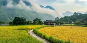 Guide francophone au Vietnam pour découvrir Yen Minh