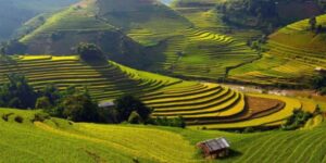 Voyager avec Guide francophone au Vietnam pour découvrir Lao Chai